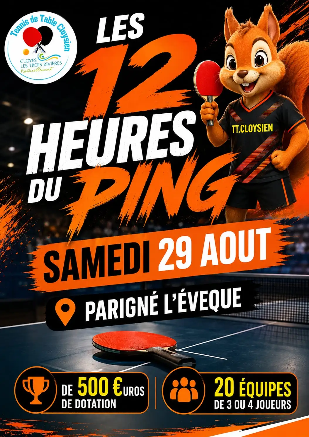 12 du Ping à Parigné l'Évêque